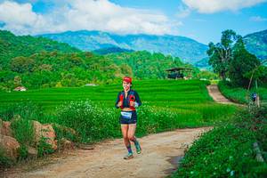 BIB: 
                            <button type="button" onclick="openModal(25042463)" class="btn btn-primary btn-sm float-right btn-popup" data-toggle="modal" data-target=".modal-high-quality">
                        <i class="fas fa-shopping-cart"></i> Add to Cart
                    </button>
                                            <button type="button" onclick="isThisMe(25042463, true)" class="btn btn-success btn-sm float-right btn-popup btn-isme hidden" data-toggle="tooltip" data-placement="bottom" title="นี่คือรูปของคุณใช่ไหม คลิกที่นี่เพื่อเอาเข้าอัลบั้ม">
                        <i class="fas fa-plus"></i> Add to album
                    </button>
                    <button type="button" onclick="isThisMe(25042463, false)" class="btn btn-warning btn-sm float-right btn-popup btn-isnotme hidden">
                        <i class="fas fa-ban"></i> Remove from album
                    </button>